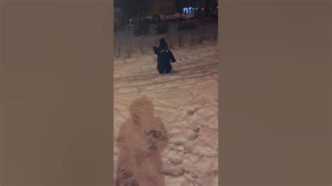 Проста шикалад 🙃😅 - YouTube