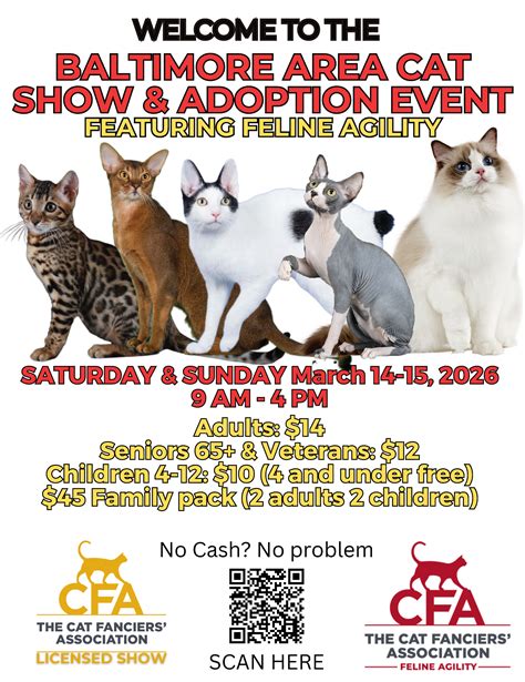 Crab & Mallet Allbreed Cat Show | Ready Pet Go