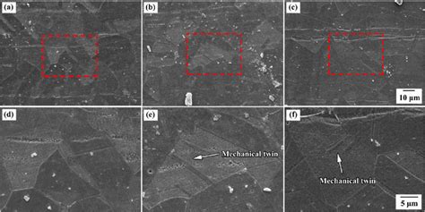 SEM micrographs: (a,d) AR specimen; (b,e) 5% PS specimen and (c,f) 10% ...