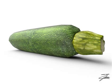 Zucchini 3d Model Cgtrader