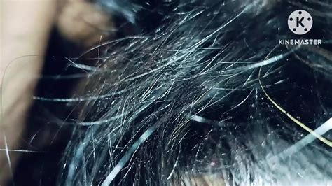 Free Indian Pussy Porn Videos Xhamster