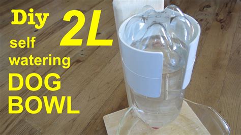 How To Make 2l Bottle Self Watering Dog Bowl Pet Water Bowl Dog