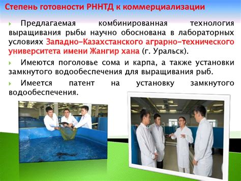 Комбинированная технология товарного выращивания рыбы и производства ...