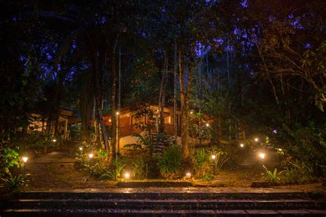 Raindrops Resort - the Best Wilderness Resort in Wayanad - Raindrops Resort