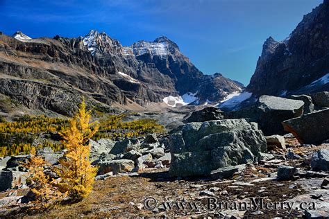 Lake Ohara Fall Colours Tour Brian Merry Photography