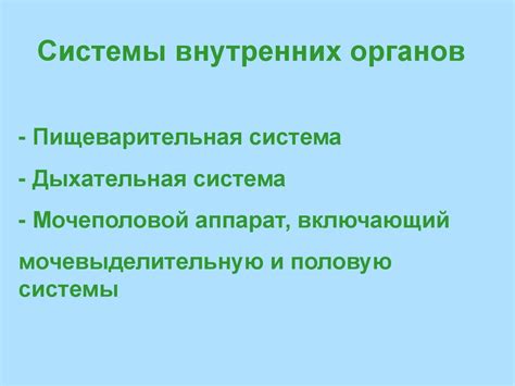 Введение в спланхнологию - презентация онлайн