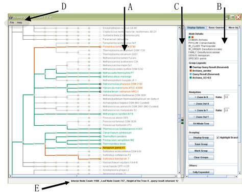 Display And Function Overview