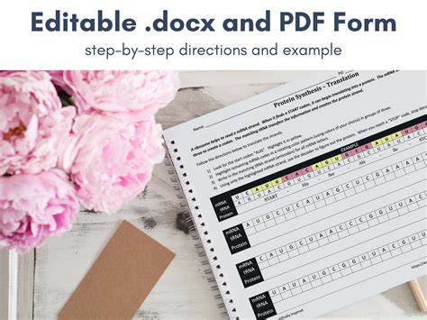 Protein Synthesis Translation Worksheet Printable and Digital High ...