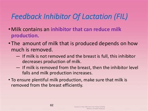 Breastfeeding And Nutrition By Jess Wong Hui Juan 05022017