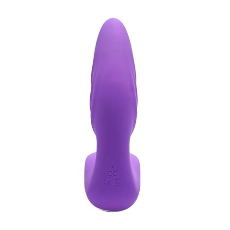 Vibrador Plug Anal Prostata Controle Ql Roxo Libb Sex Toys