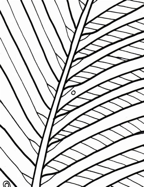 Palm Branch Drawing | Free download on ClipArtMag