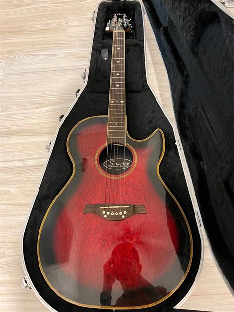 Schecter Diamond Acoustic Guitar, Hobbies & Toys, Music & Media ...