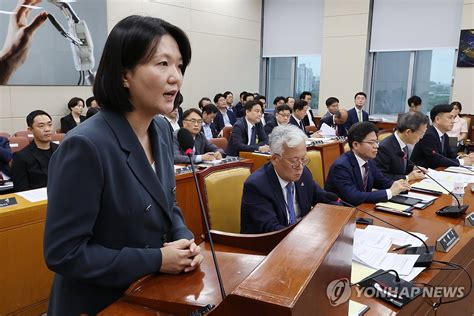 과방위 출석한 최수연 네이버 대표이사 연합뉴스