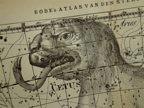 Old star chart Dutch vintage astronomy map of by VintageOldMaps