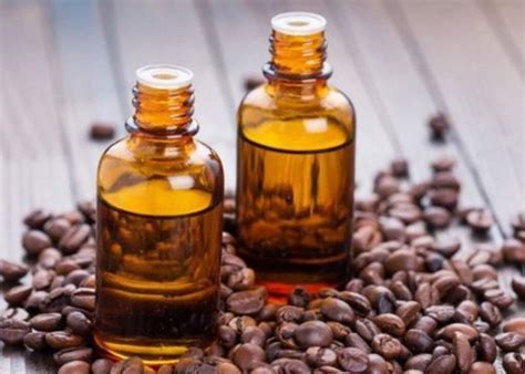 Descubre las Propiedades y beneficios del Aceite esencial Café