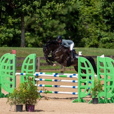 Morning Mist Equestrians