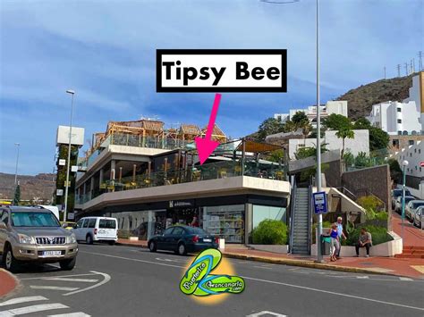 Tipsy Bee Puerto Rico Gran Canaria Online Guide