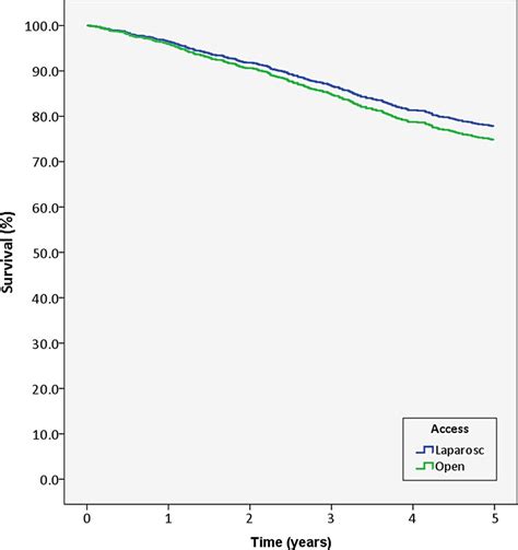 5 Year Overall Survival Cox Regression Graph Covariates In Model