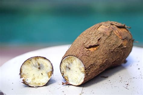 How To Grow Cassava