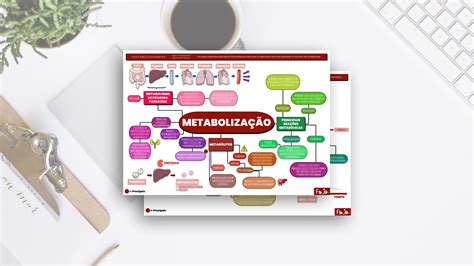 Mapa Mental Metaboliza O Farmacologia Farmacocin Tica Flavia