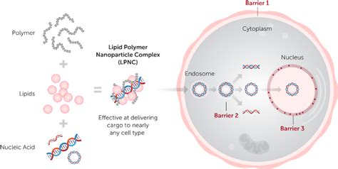 Technology | Mirus Bio