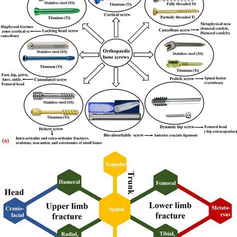 Various types of bone screws: a cortical screw, b cancellous screw, c ...