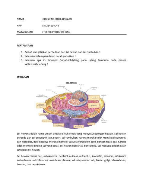 Teknik Produksi Ikan Pdf