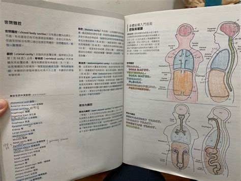 人體解剖著色學習手冊 書籍、休閒與玩具 書本及雜誌 教科書、參考書在旋轉拍賣