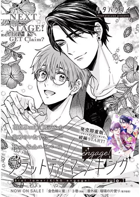Brat Tamer King Engage Manga Anime Planet