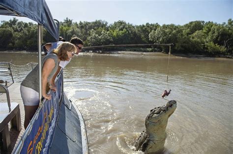 Jumping Crocodile Cruise Kakadu Tours Travel