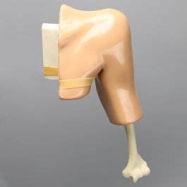 Arthroscopy Shoulder Simulator With Skin