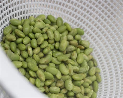 Sesame Noodles with Edamame – The VeganAsana