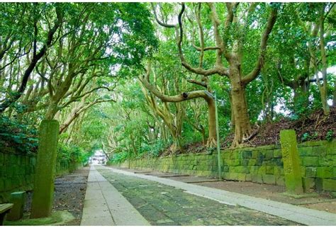 ＜酒列磯前神社＞茨城県 - 水戸・笠間・大洗・ひたちなかエリアの神社仏閣【旅色】