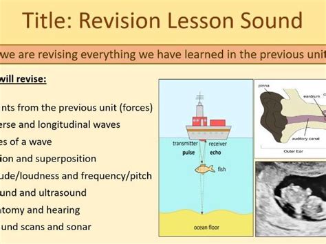 Sound KS3 End Of Topic Revision Year 7 Teaching Resources