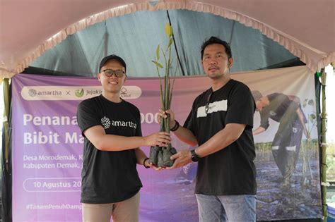 FOTO Hari Konservasi Alam Amartha Jejakin Tanam 1 000 Bibit Mangrove