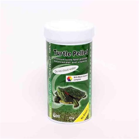 buy ans turtle feed  east ocean aquatic  largest