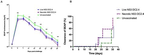 Frontiers Enhanced T Cell Responses Induced By A Necrotic Dendritic