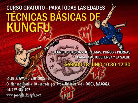 Curso T Cnicas B Sicas De Kungfu Gwong Zau Kung Fu