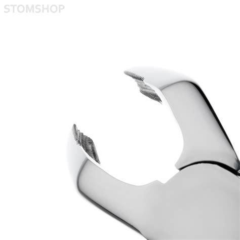 Щипцы №8 для удаления премоляров нижней челюсти | Купить по низкой цене ...