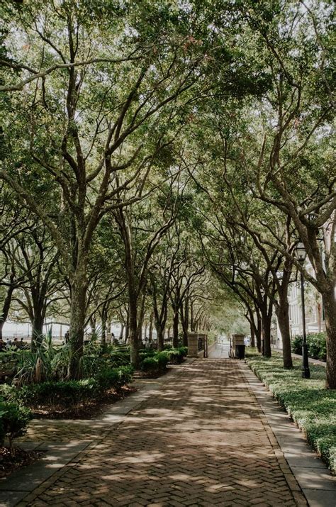 18 Things Charleston Is Known and Famous For