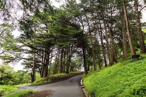San Francisco Park Experiences Gay Cruising Renaissance