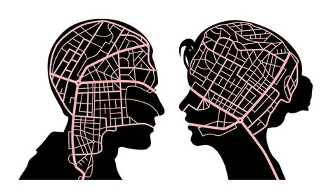 Dissecting Male Female Brain And Behavior Differences Genetic Literacy Project