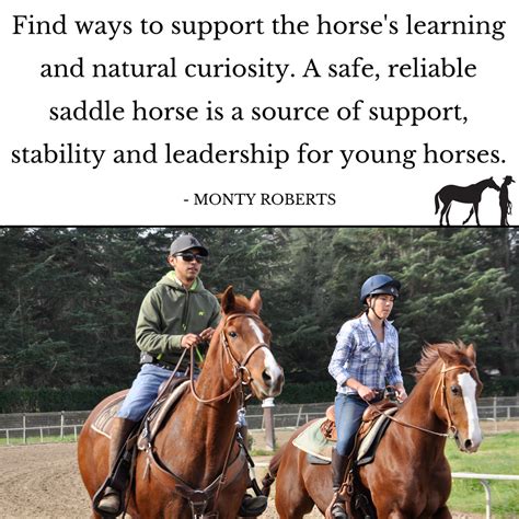 The realities of owning a horse the good the ugly and the dirty truth ...