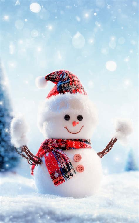 Schneemann Bilder Wallpapers