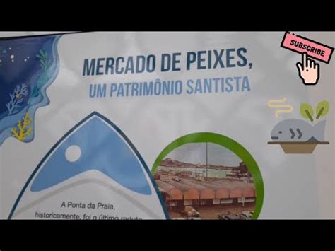 Fomos Visitar O Mercado Do Peixe Em Santos Youtube