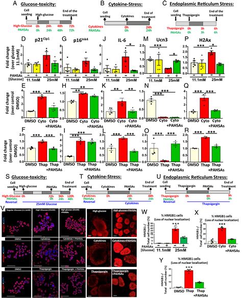 PAHSAs Reduce Cellular Senescence And Protect Pancreatic Beta Cells