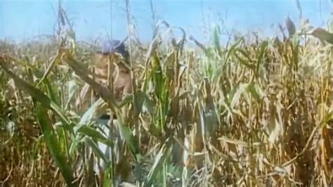 Heidi Teil 1 Auf Der Heidi Gibts Koa Sund German In German Porn XHamster