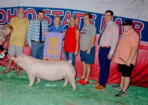 Reserve Champion Landrace Gilt Ohio State Fair Jr Show