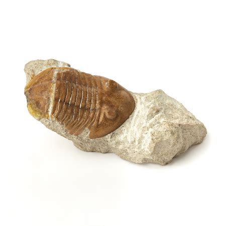 Распродажа натуральных и полудрагоценных камней в интернет-магазине ...