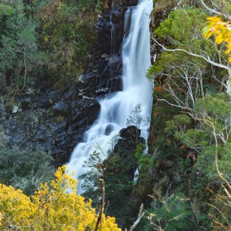 Lilydale Falls - Waterfalls of Tasmania